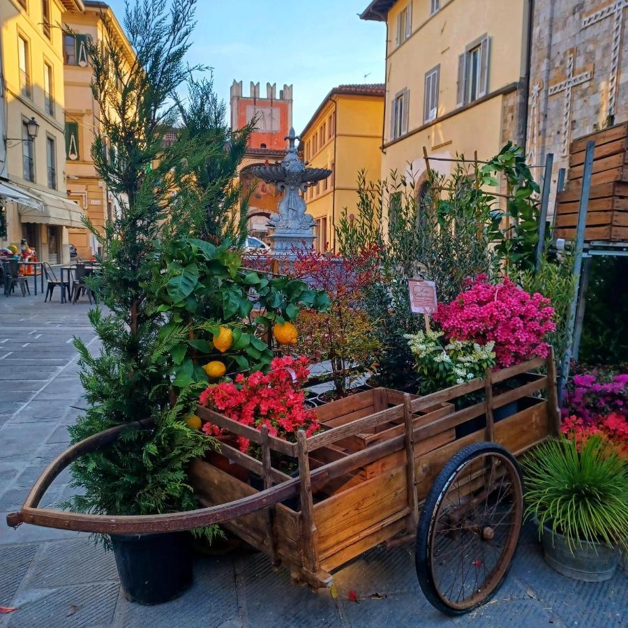 Apartament La Casa Di Ciaccia Camaiore Zewnętrze zdjęcie