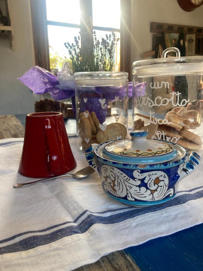 Apartament La Casa Di Ciaccia Camaiore Zewnętrze zdjęcie